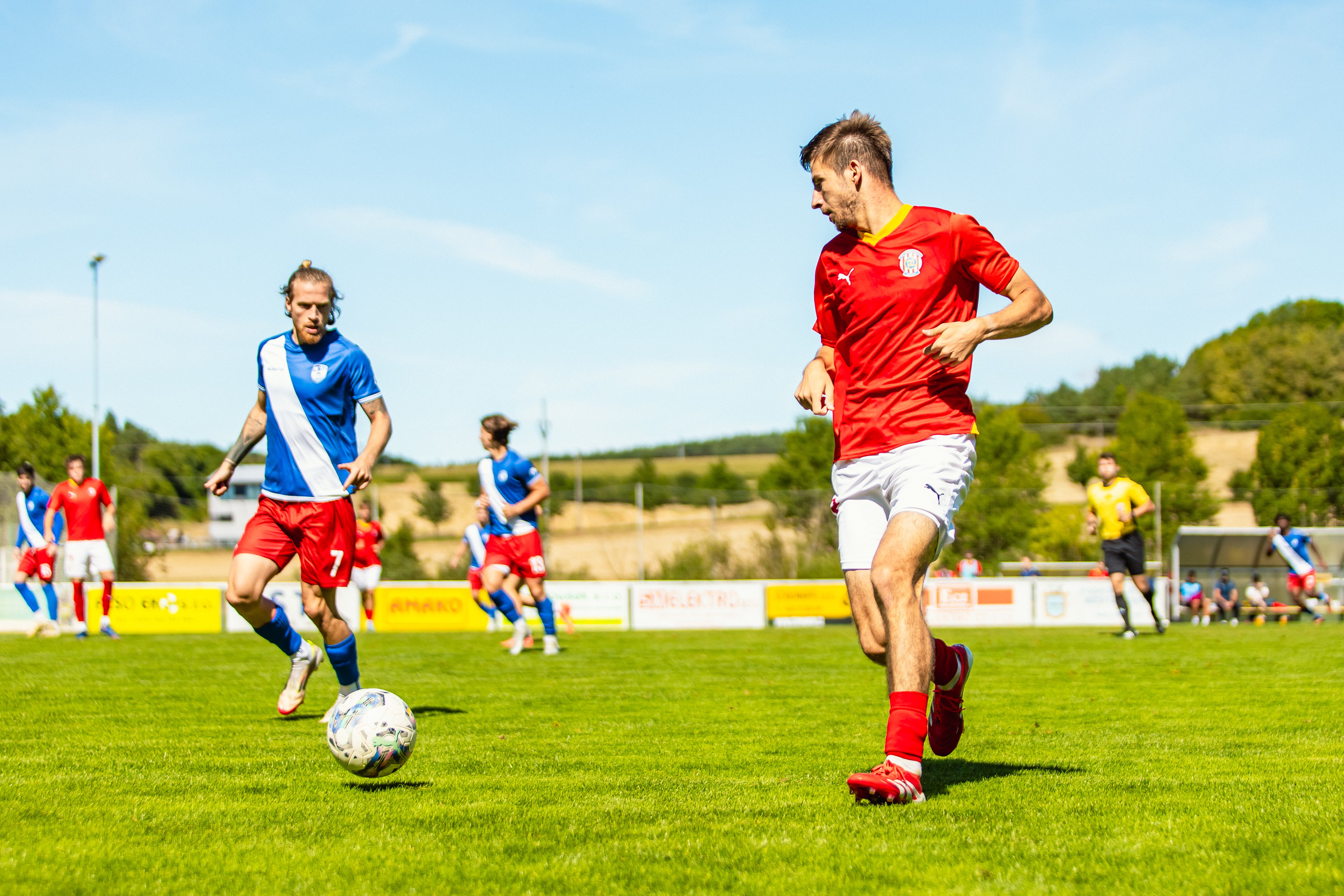 B��ko dr�� dom�c� neporazitelnost. Blansku nas�zelo �ty�i g�ly