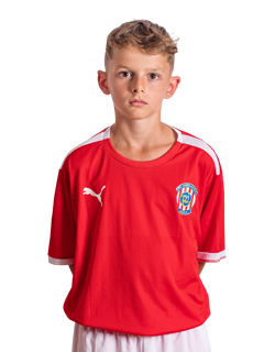 Mario Holek #