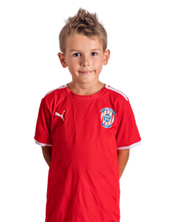 Samuel Sedl��ek #