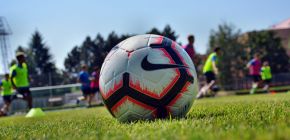 B��ko zv�t�zilo ve Slavi��n�