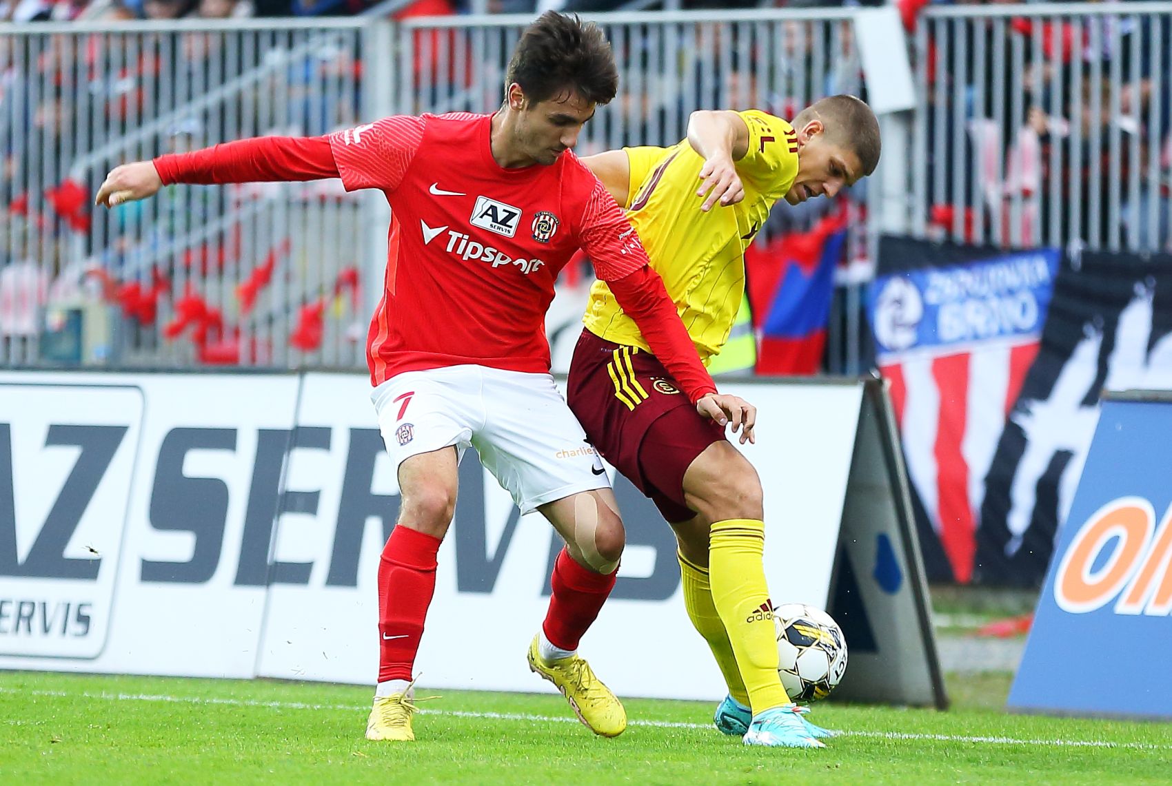 VIDEO: Pocity jsou sm�en�, p�em�tal po Spart� Ond�ej Pachlopn�k