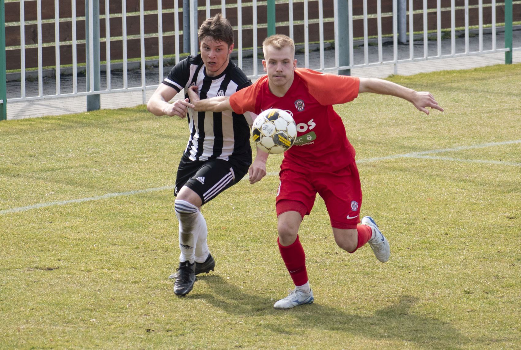 B��ko na �vod jara podlehlo Hole�ovu